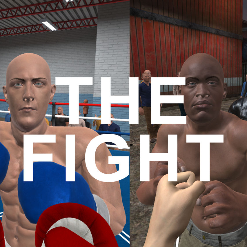 The Fight