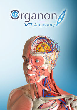 3D Organon XR