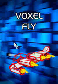 Voxel Fly