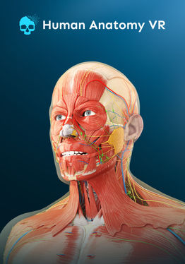 Human Anatomy VR