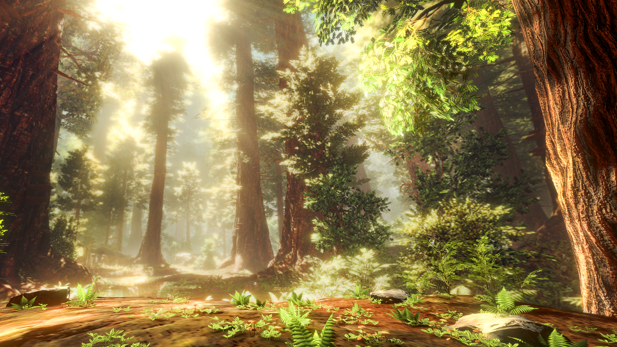 Guided Meditation VR