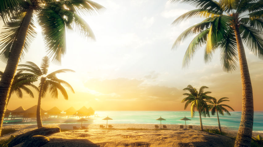 Guided Meditation VR