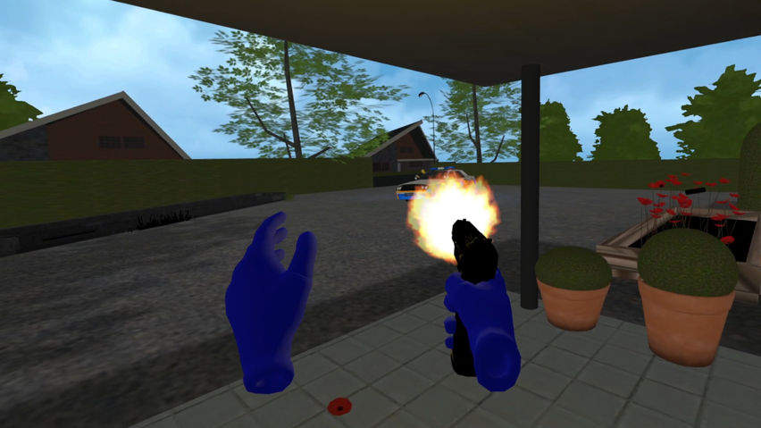 Police Response VR Disturbance