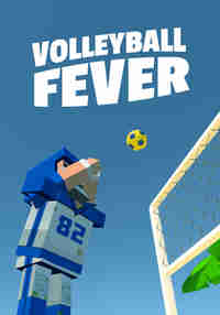 Volleyball Fever