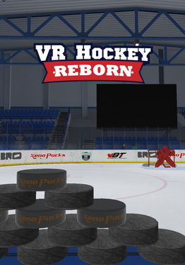 VR Hockey Reborn