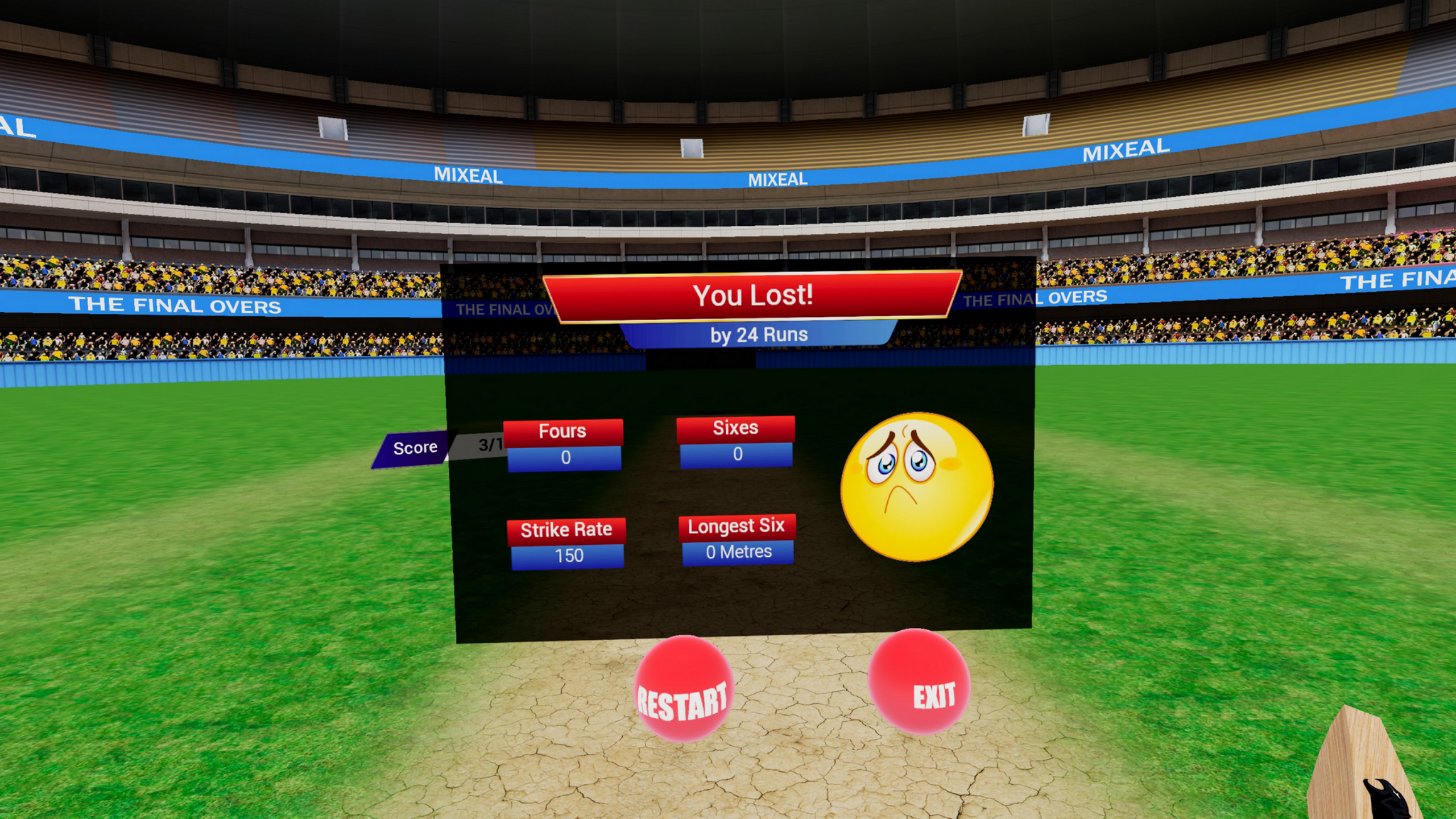 Final Overs - VR Cricket