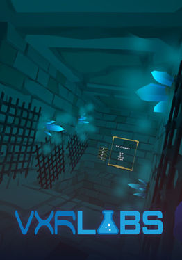 VXRLabs Labyrinth